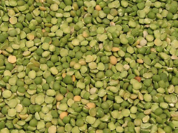 fresh and organic peas