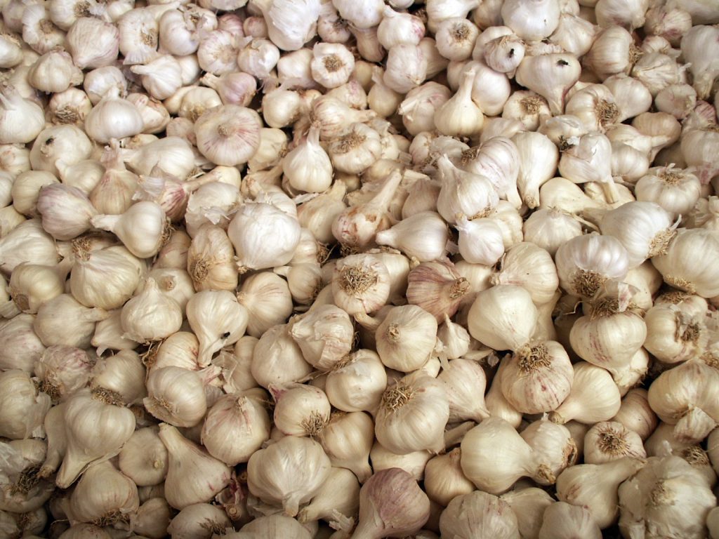 Order Garlic 250g Online Vegetable Delivery Cape Town