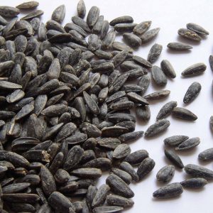 fresh and organic sunflower seeds