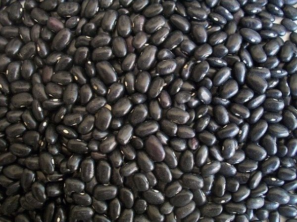 fresh and organic black beans
