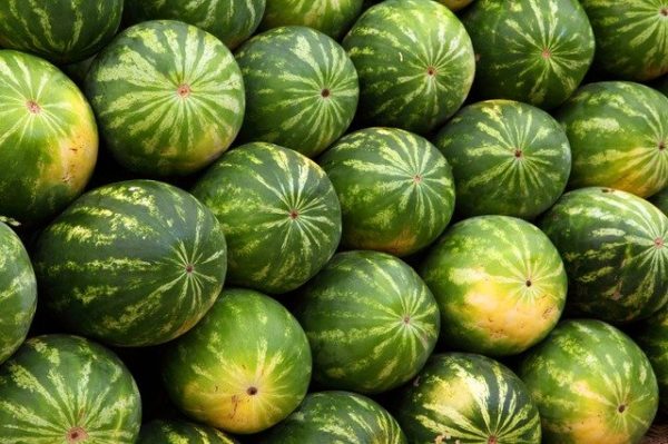 fresh watermelons