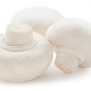 fresh white mushroom