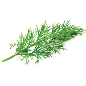 Dill-100g